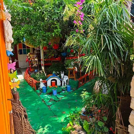 Tuana Garden Bed & Breakfast 3*