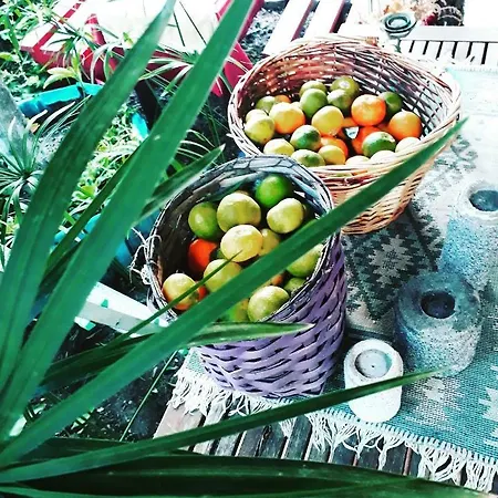 Tuana Garden לינה וארוחת בוקר *