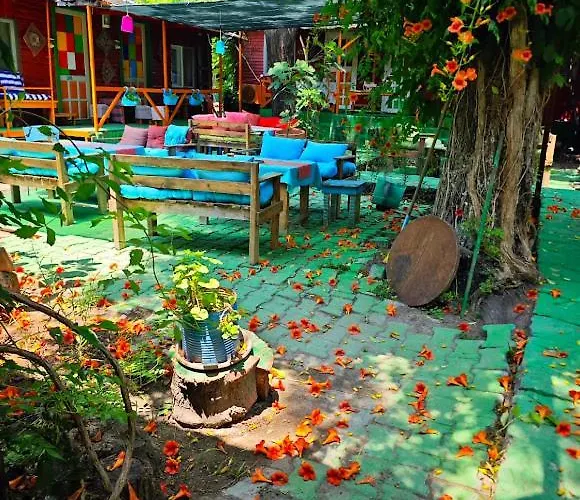 Tuana Garden 3*
