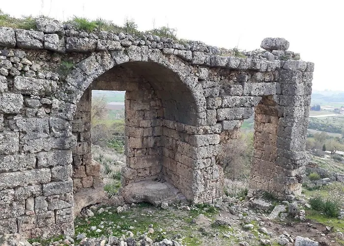 Tuana Garden