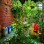 Bed & Breakfast Tuana Garden 3*