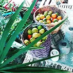 Tuana Garden Bed & Breakfast 3*