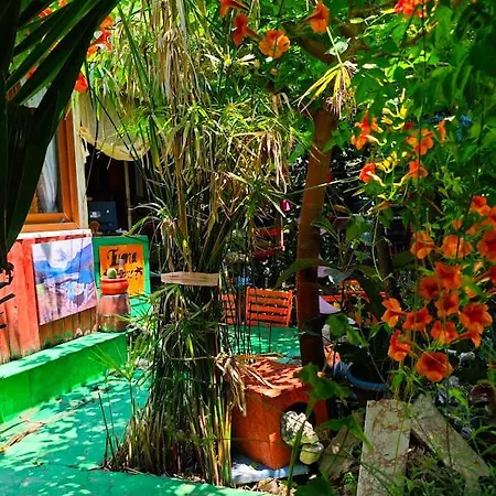 Tuana Garden Oda ve Kahvaltı