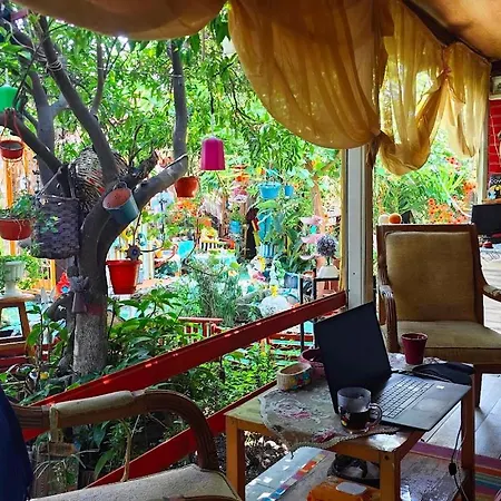 Oda ve Kahvaltı Tuana Garden *