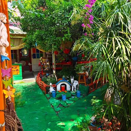 Oda ve Kahvaltı Tuana Garden