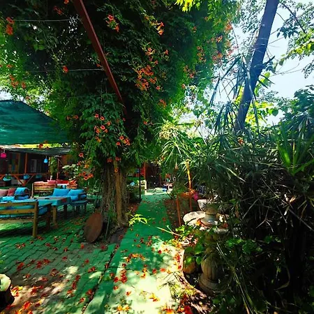 Tuana Garden Oda ve Kahvaltı *